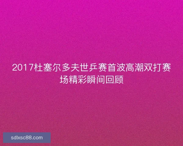 2017杜塞尔多夫世乒赛首波高潮双打赛场精彩瞬间回顾