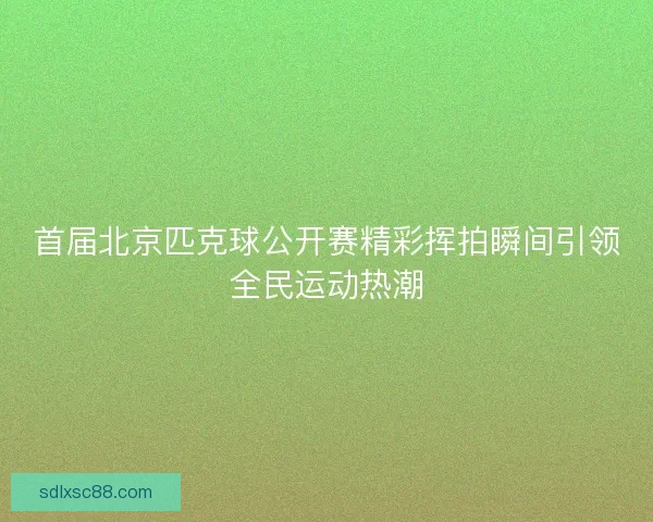 首届北京匹克球公开赛精彩挥拍瞬间引领全民运动热潮